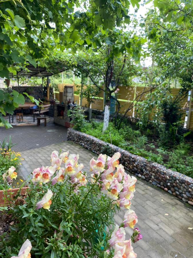 Guest House Mari Уреки Екстериор снимка