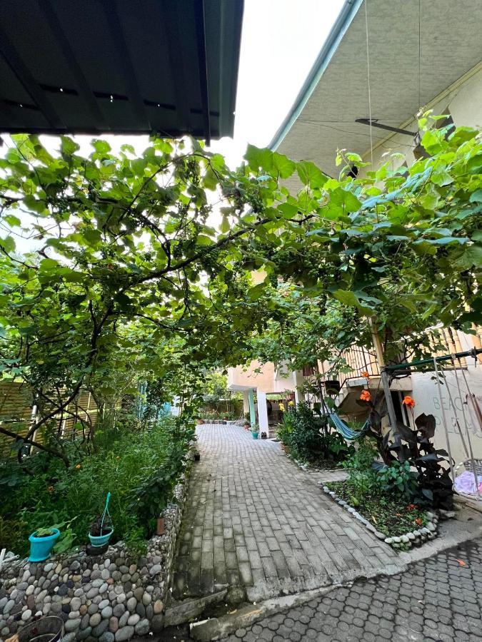 Guest House Mari Уреки Екстериор снимка