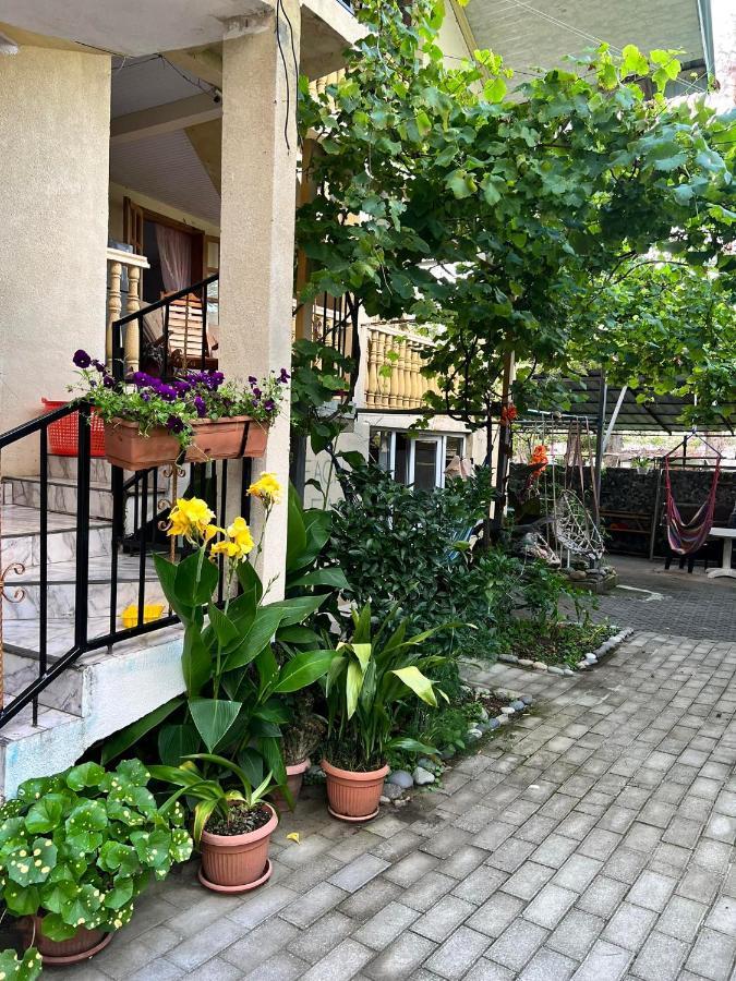 Guest House Mari Уреки Екстериор снимка
